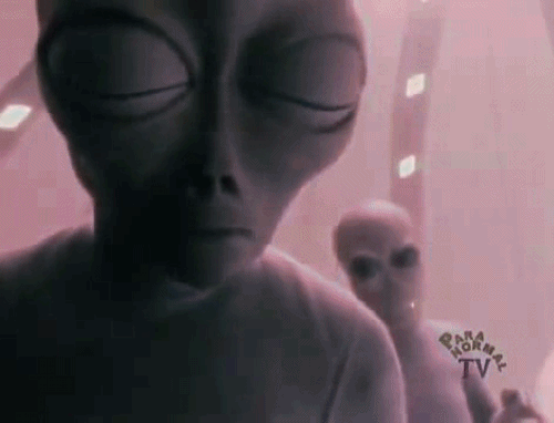 Alien from area raid human pussy