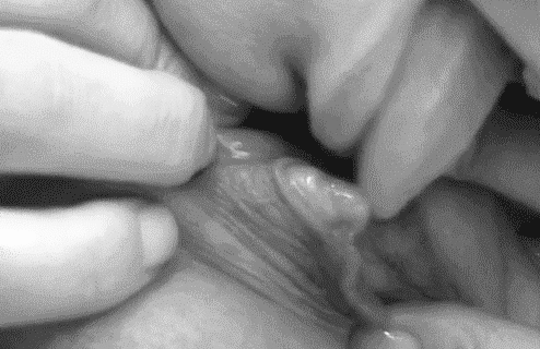 best of Tongue licker play clit more