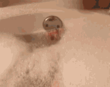 Bubbly bath time