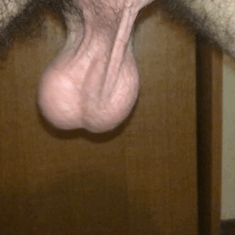 Huge swing cock balls