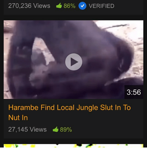 Good D. reccomend harambe find local jungle slut