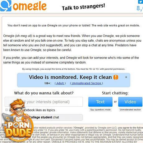 Webcam random chat