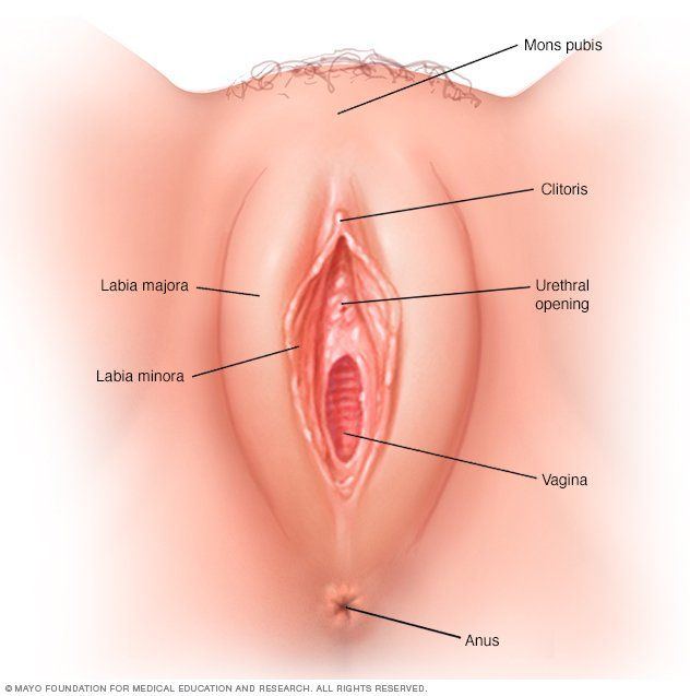 best of Vaginale Orgasme sex penetration