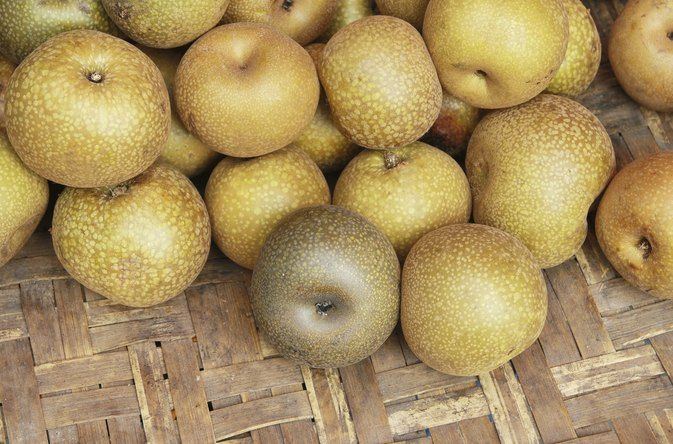 Quck reccomend Asian pear seed