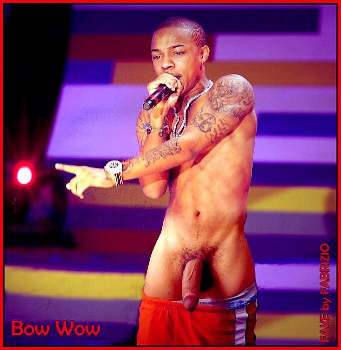 Chris Brown Porn - Chris brown naked dick. 